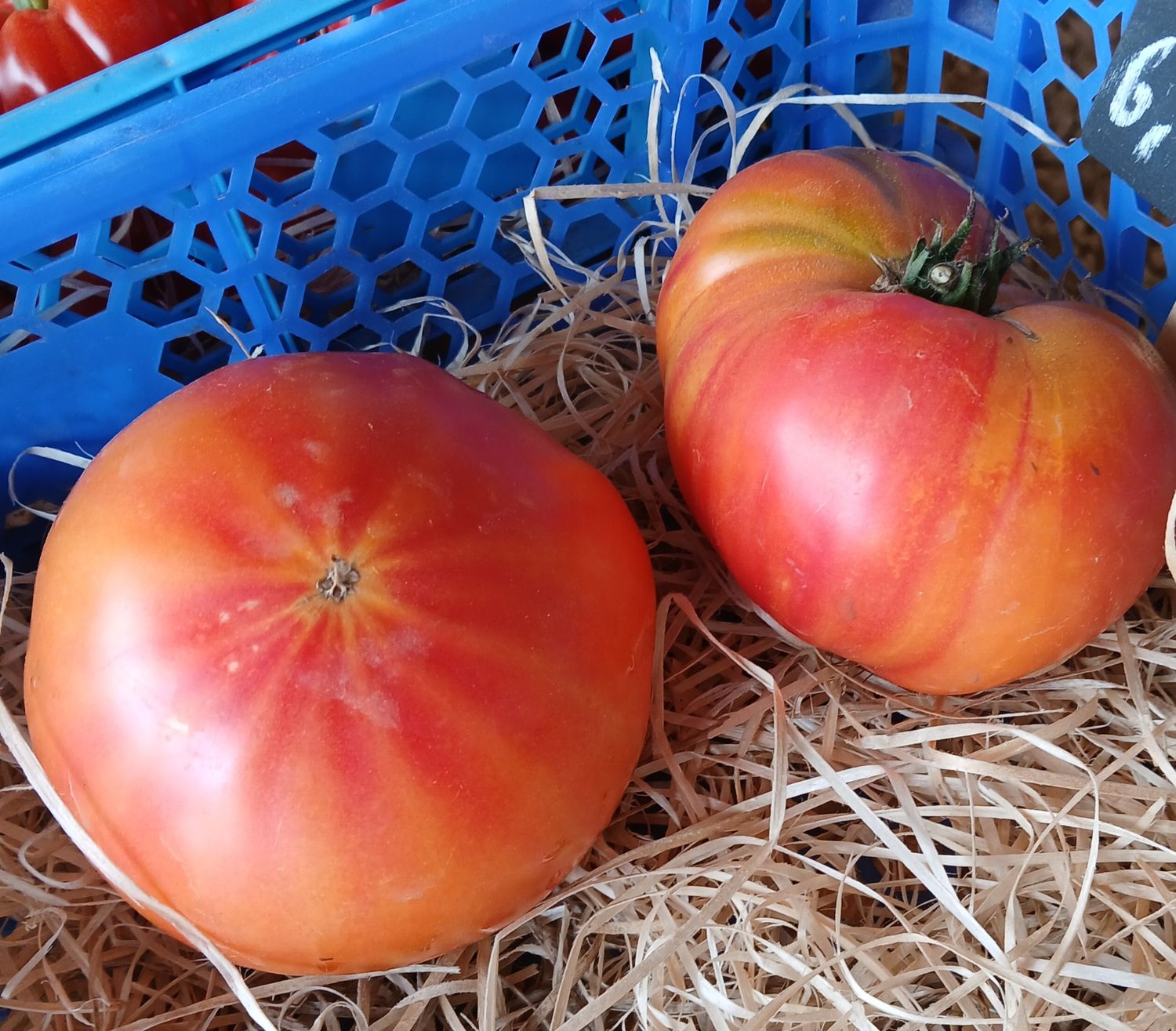 Tomate Ananas