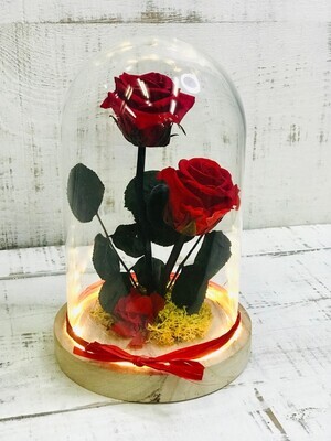 Cúpula La Bella y La Bestia con dos rosas rojas preservadas