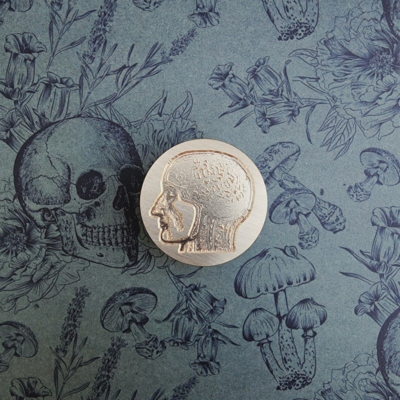 &quot;Anatomy Brain&quot; Wax Seal Stamp Head