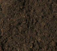 Erde torffrei - 15 Liter