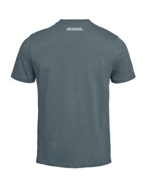 BMW T-Shirt RR grau
