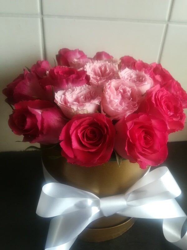 Shades of pink