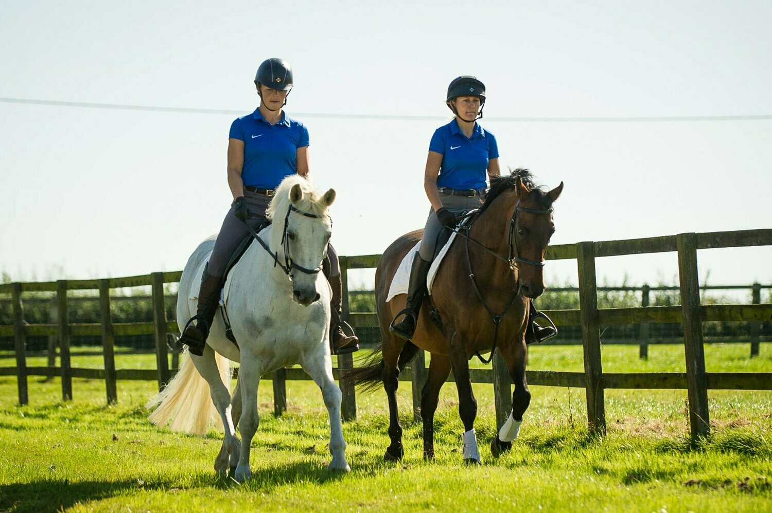 Returning Your Horse To Work After Time Off - Online Course