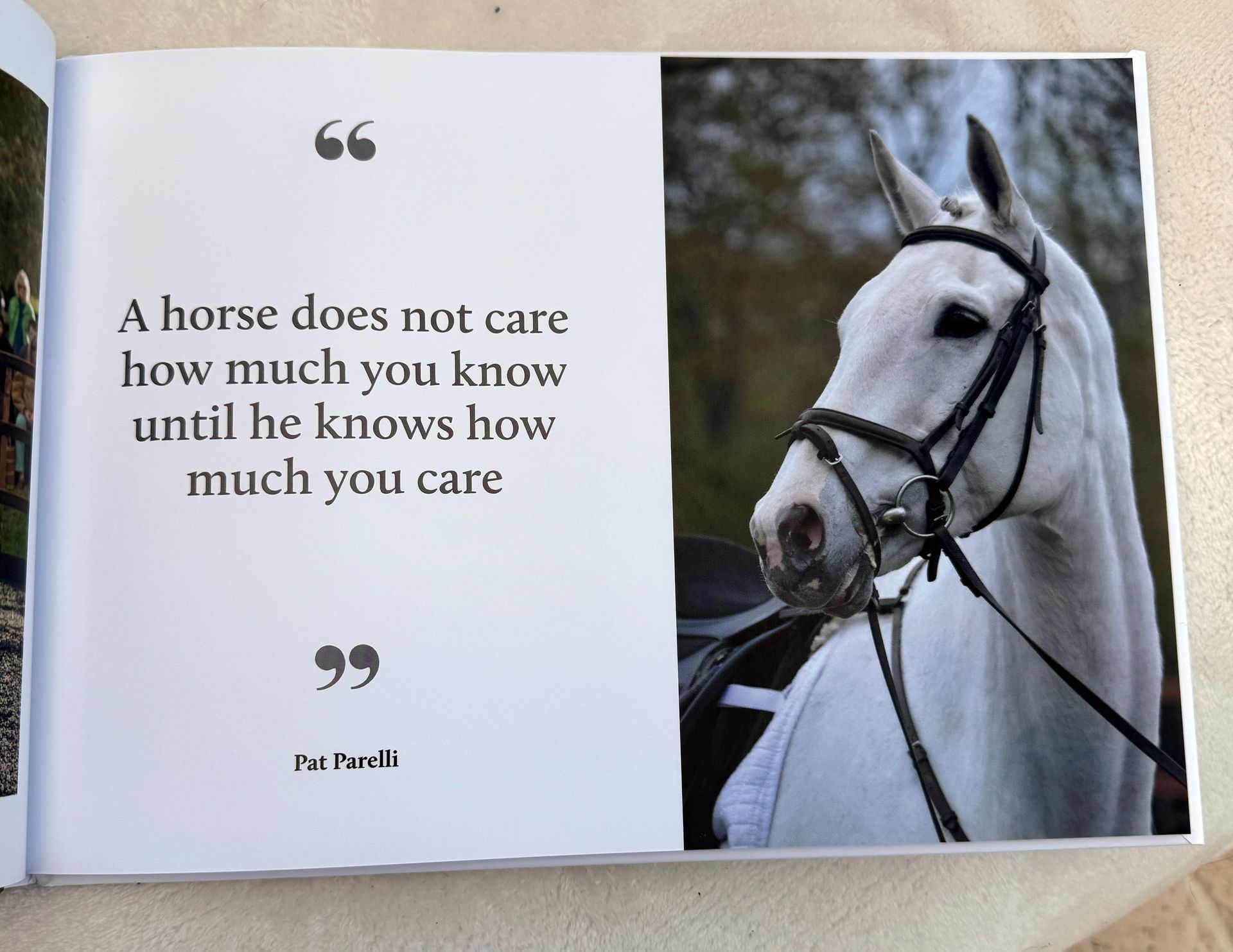 For The Love Of Horses (Hardback) - Includes UK Mainland Shipping