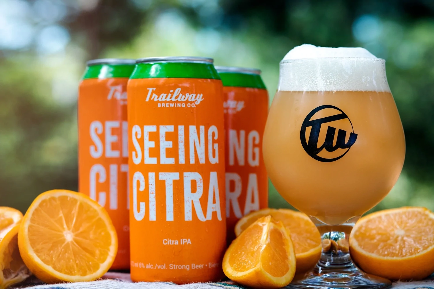 Trailway-Seeing Citra