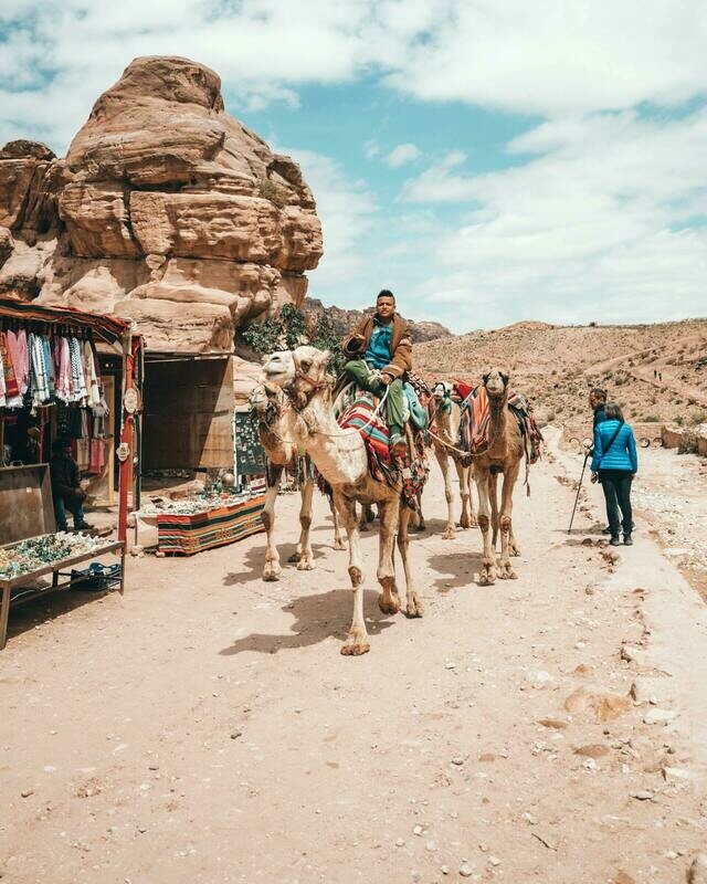 Group Tour