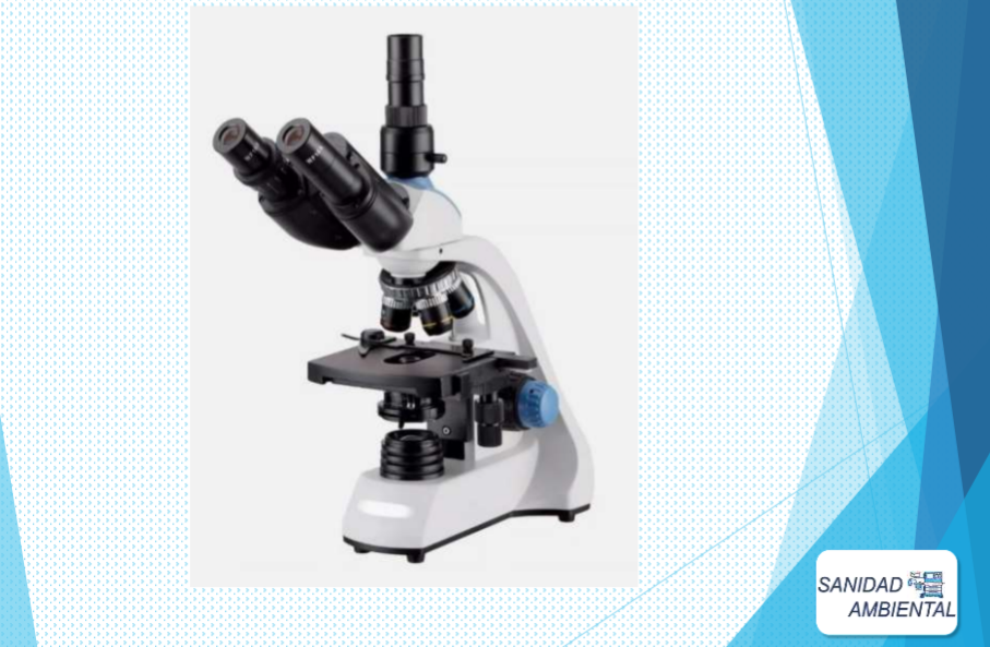 Microscopio trinocular