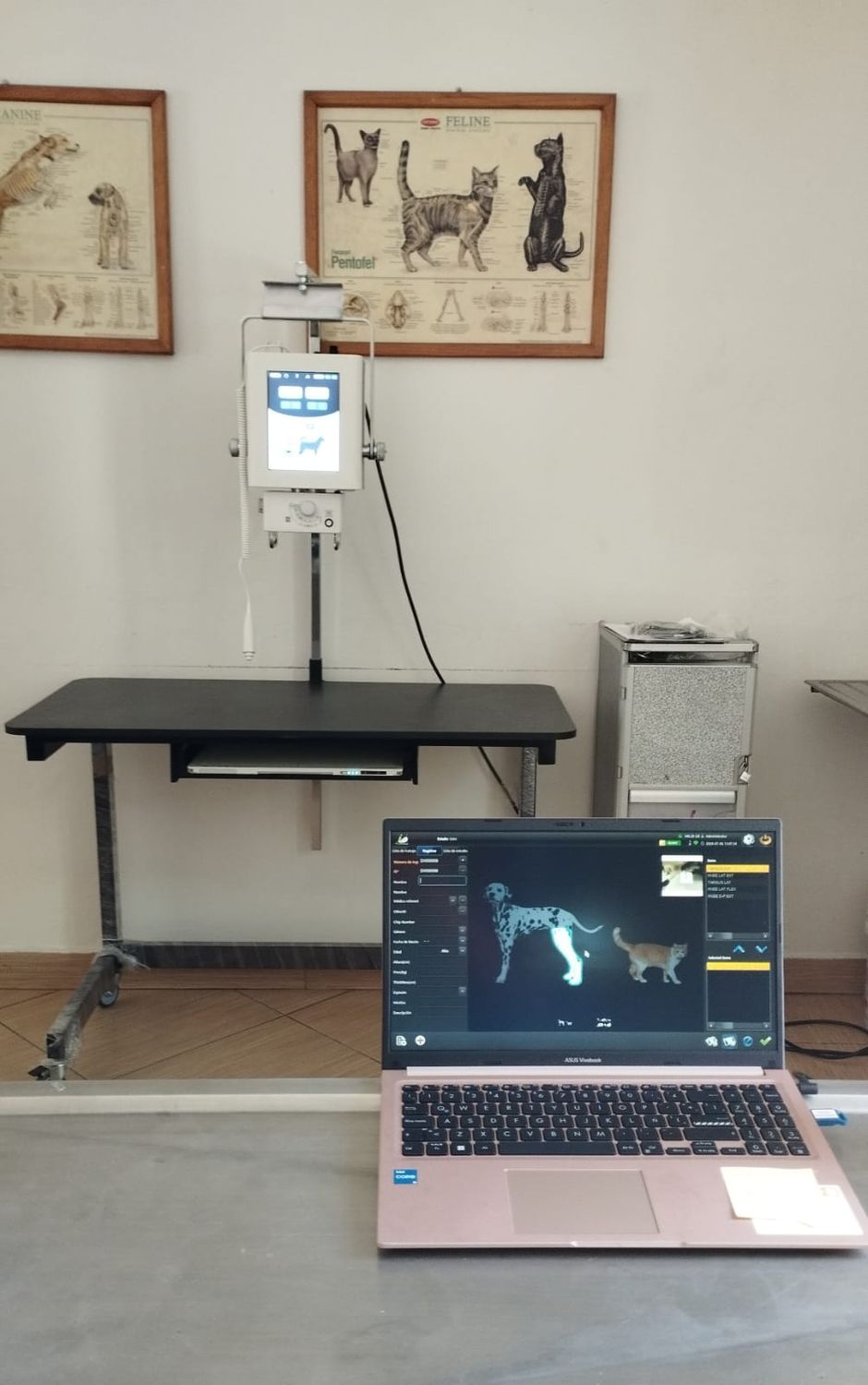 Unidad completa de radiología