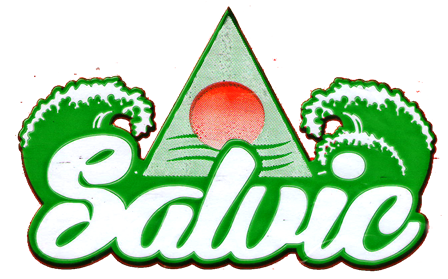 Distribuidora Salvic