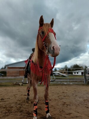 Headstalls