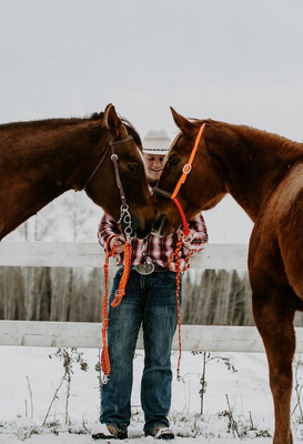 Equine products