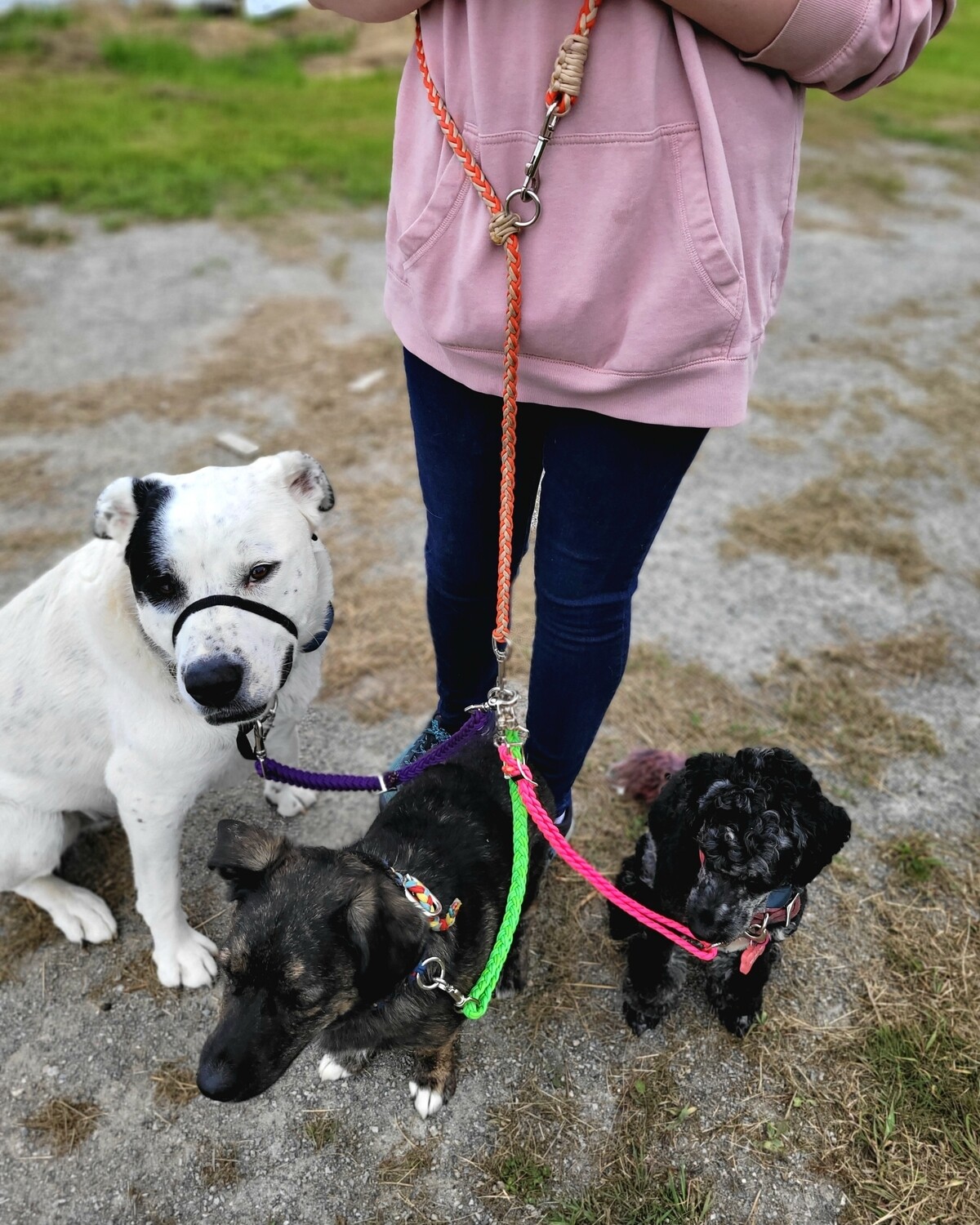 Custom TANGLE-FREE Leash Adapters