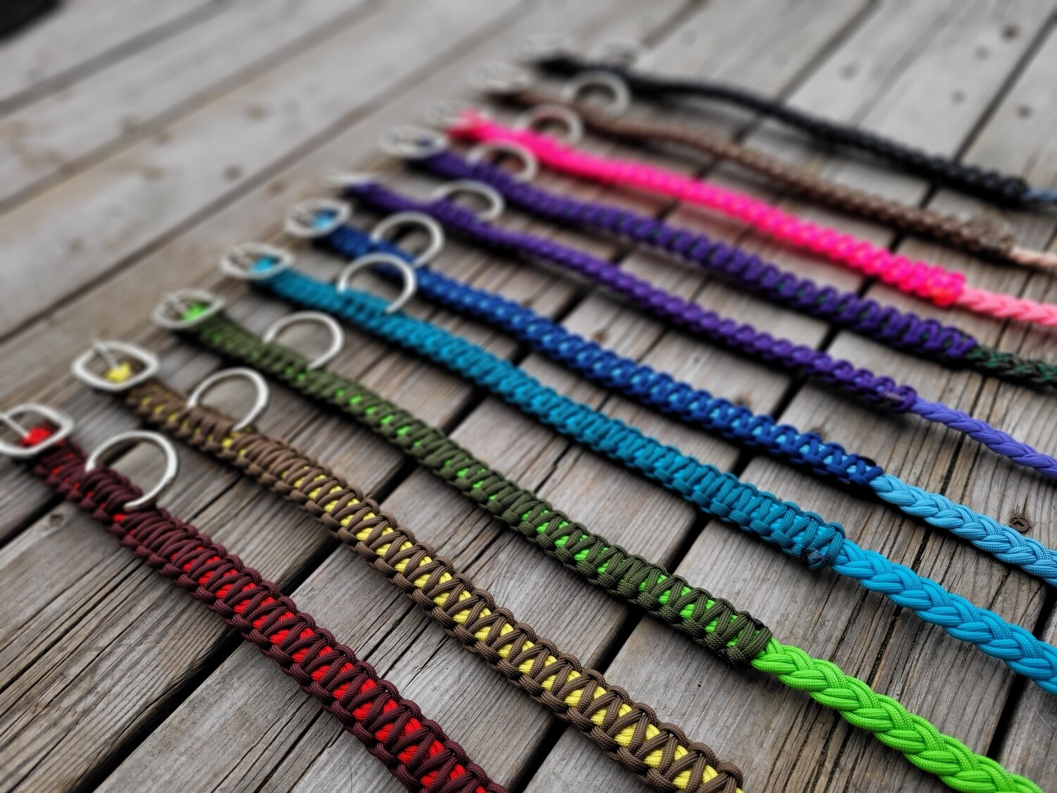 Dog Collars