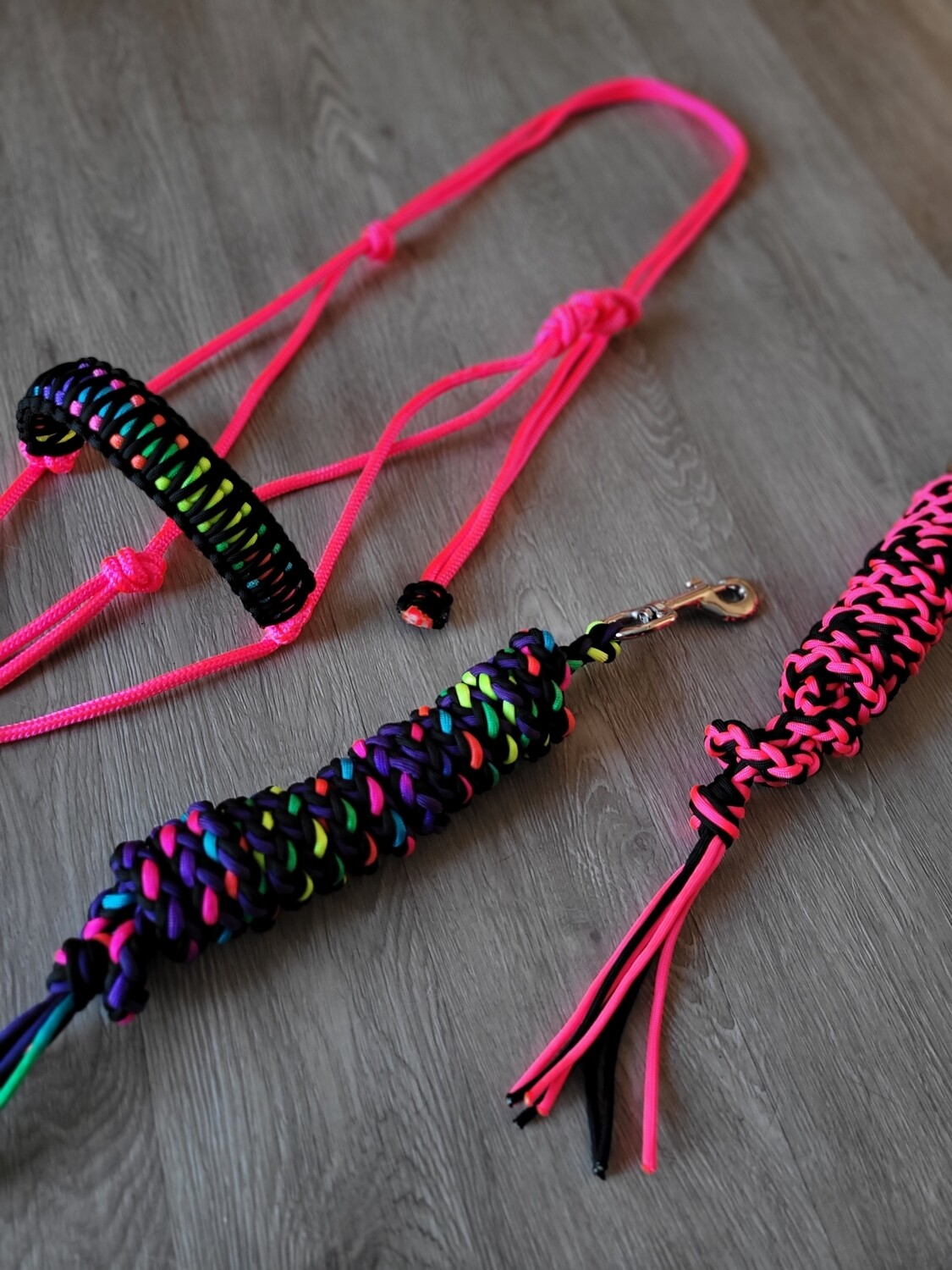 1 halter 2 leads set