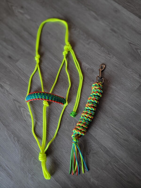 Yellow halter + lead