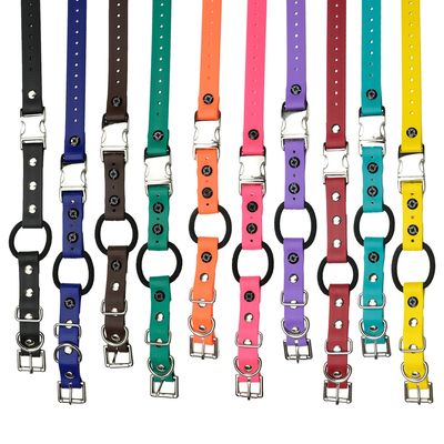 E Collar Straps
