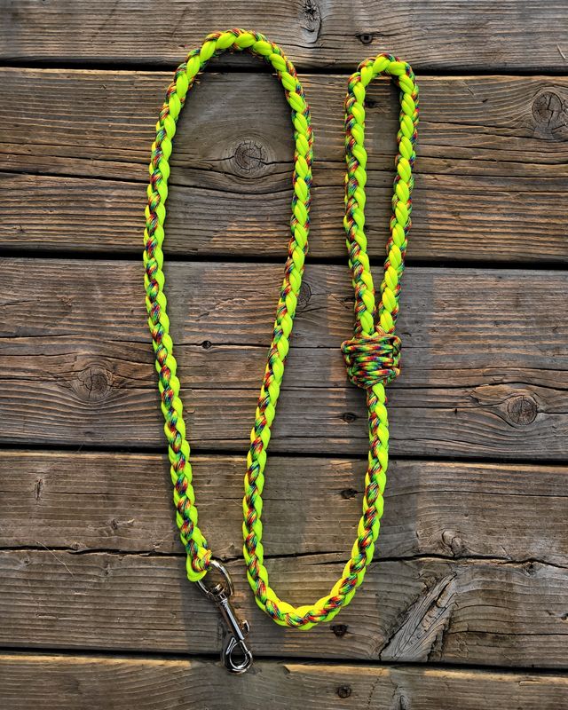 Yellow leash