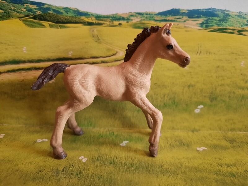 Schleich Horse Club, Fohlen (168)
