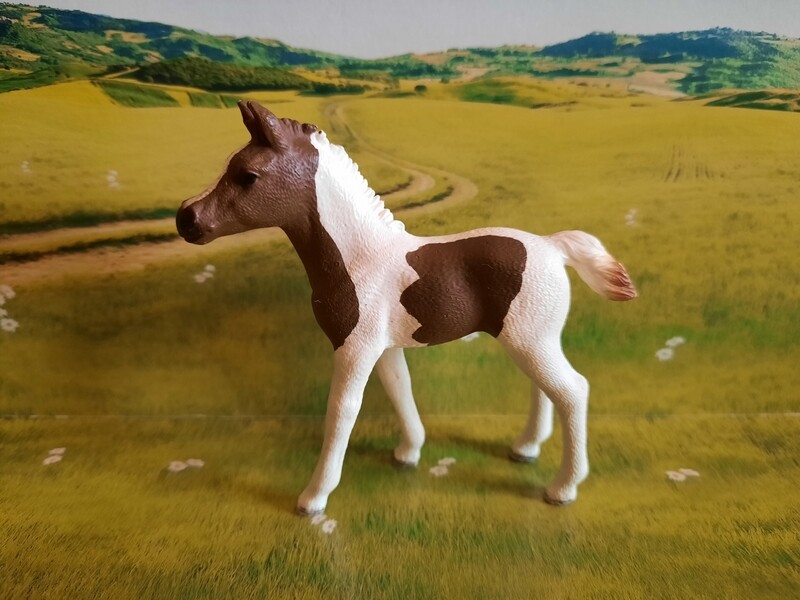 Schleich Horse Club, Fohlen (167)