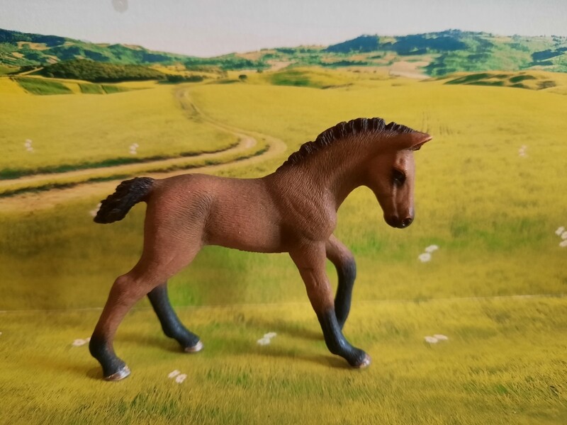 Schleich Horse Club, Fohlen (104)
