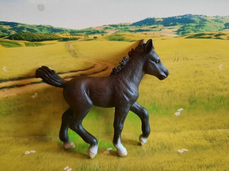 Schleich Horse Club, Fohlen (164)