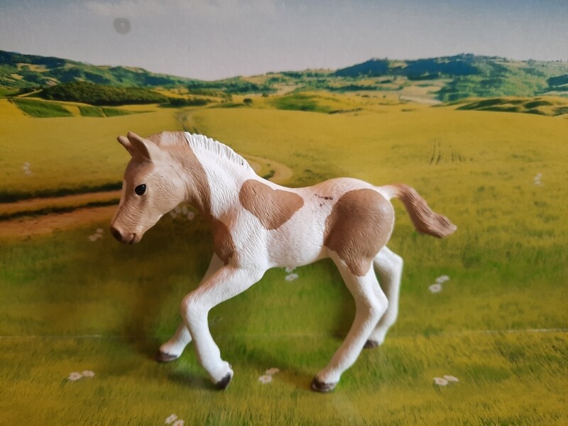 Schleich Horse Club, Fohlen (136)