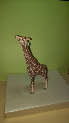 Schleich Wild Life, Giraffe/ Bulle von 2008 (557)