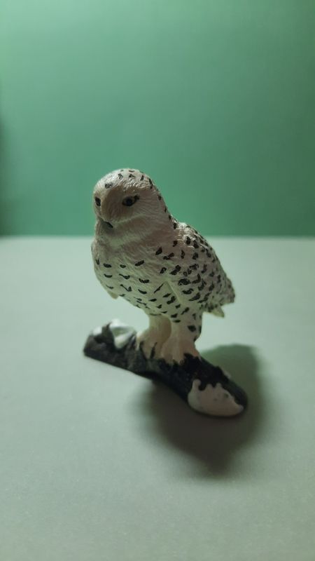 Schleich Wild Life/ Schnee Eule von 2011 (G01)