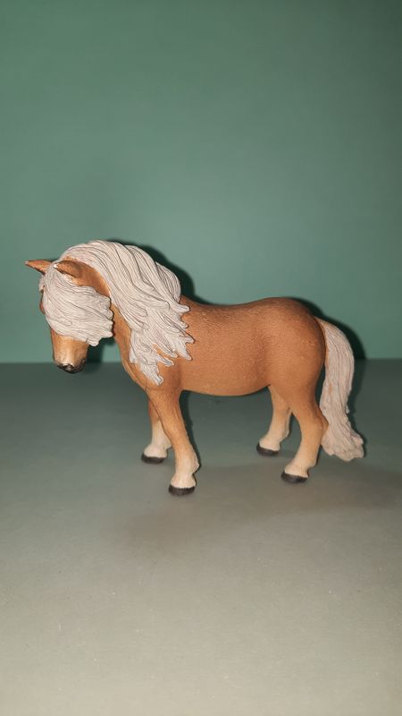 Schleich Horse Club/ Island Pony 13790 (129 )