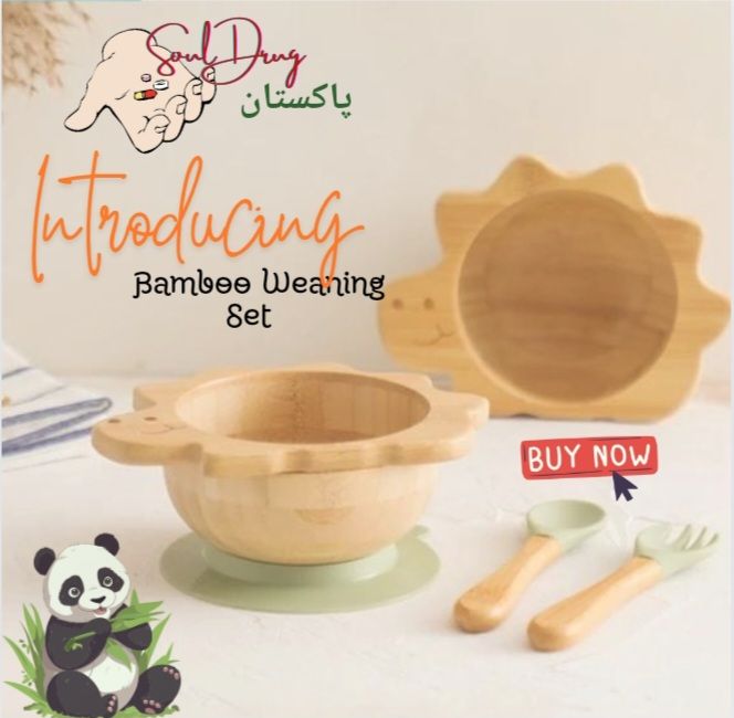 Dinosour Bamboo Bowl Set