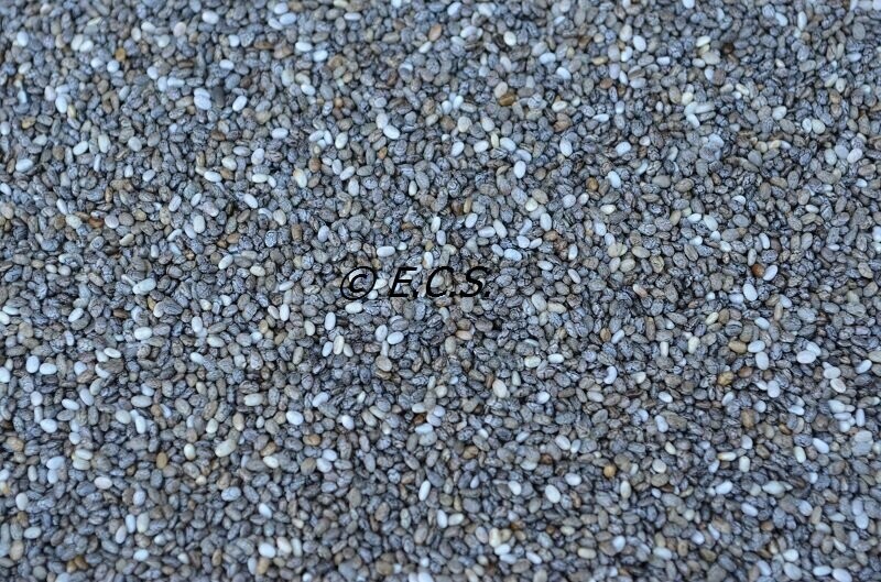 1kg Chia