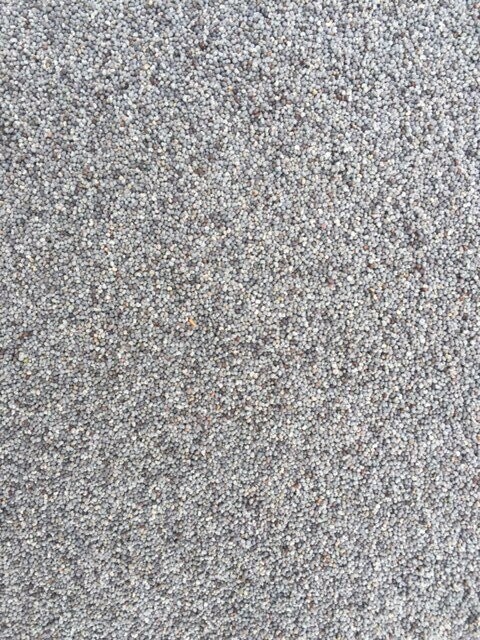 1kg Blue Maw Poppy Seed
