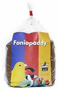 1kg Foniopaddy