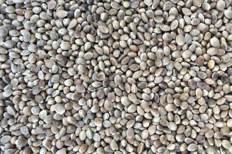 1kg Fine Hemp Seed