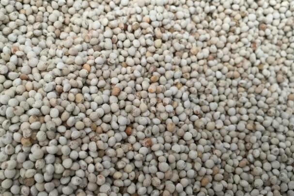 1kg White Perilla
