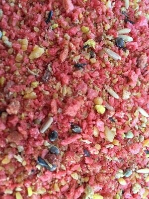 Sera Pond Mix Royal - Aliment Pour Poissons De Bassin 10L - Mélange Flocons, Granulés Et Gammares - Pour Population Mixte