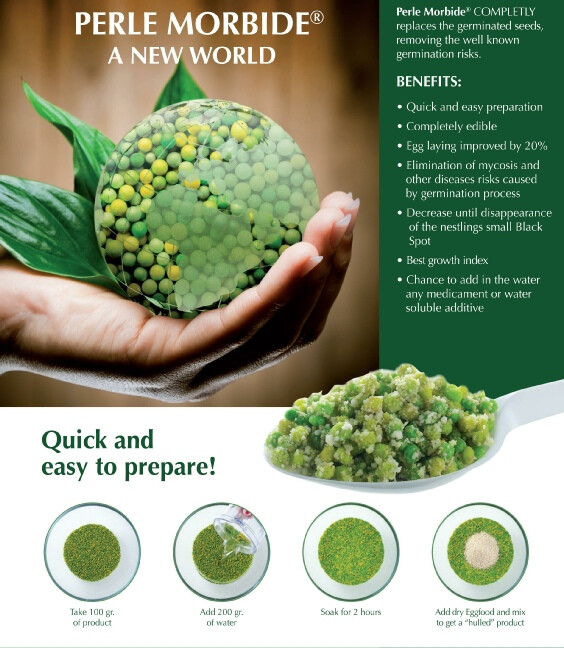 Perle Morbide Original Green by Ornitalia
