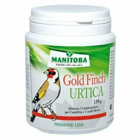 Manitoba Goldfinch Urtica Fertility Increaser