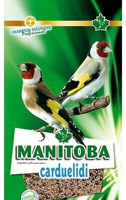 Manitoba Carduelidi Original Goldfinch Mix