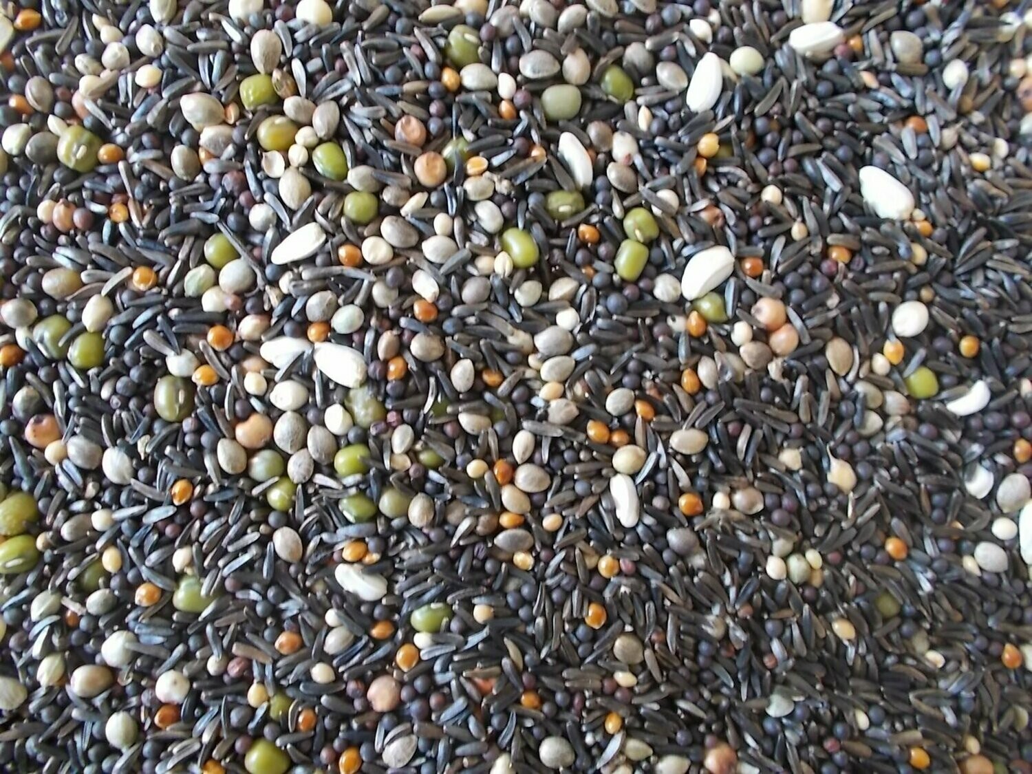 Fine Soak / Germination Seed