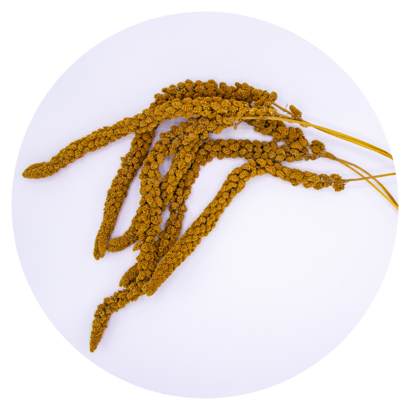 Yellow Millet Sprays 1kg