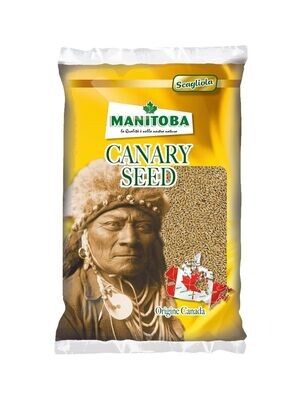 Manitoba Pure Canary Seed