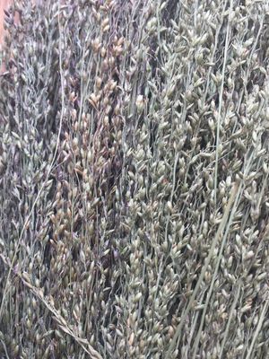Floret Bunches for Rodents