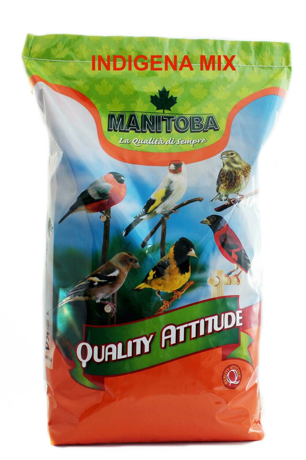 Manitoba Indigena Bullfinch, Greenfinch, Crossbill Mix Manitoba Indigena Bullfinch, Greenfinch, Crossbill Mix