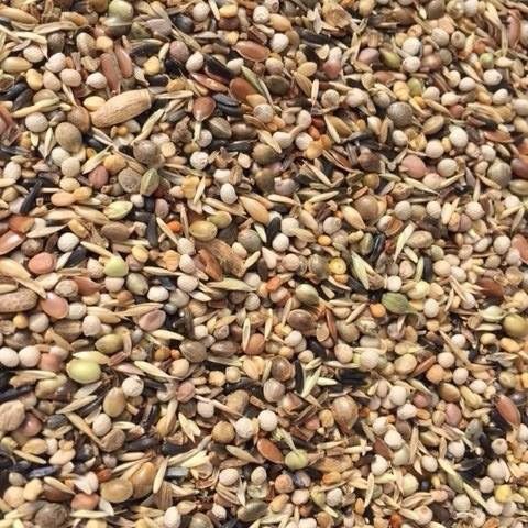 Goldfinch & Siskin Special Goldfinch & Siskin Special