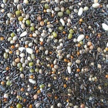 Fine Soak/Germination Seed
