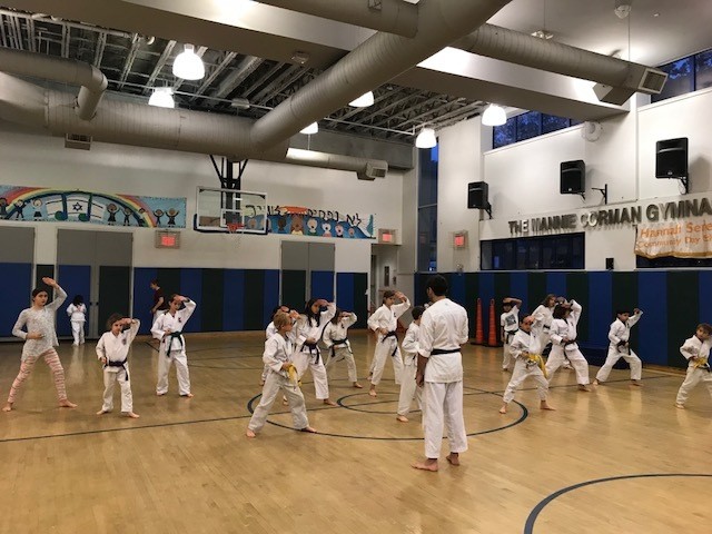 Wednesday: K-8 Tae Kwon Do with Pat Natoli, Mission Martial Arts Academy chief instructor