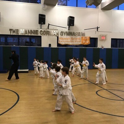 Thursday: 3-8 Tae Kwon Do with Pat Natoli, Mission Martial Arts Academy Chief Instructor
