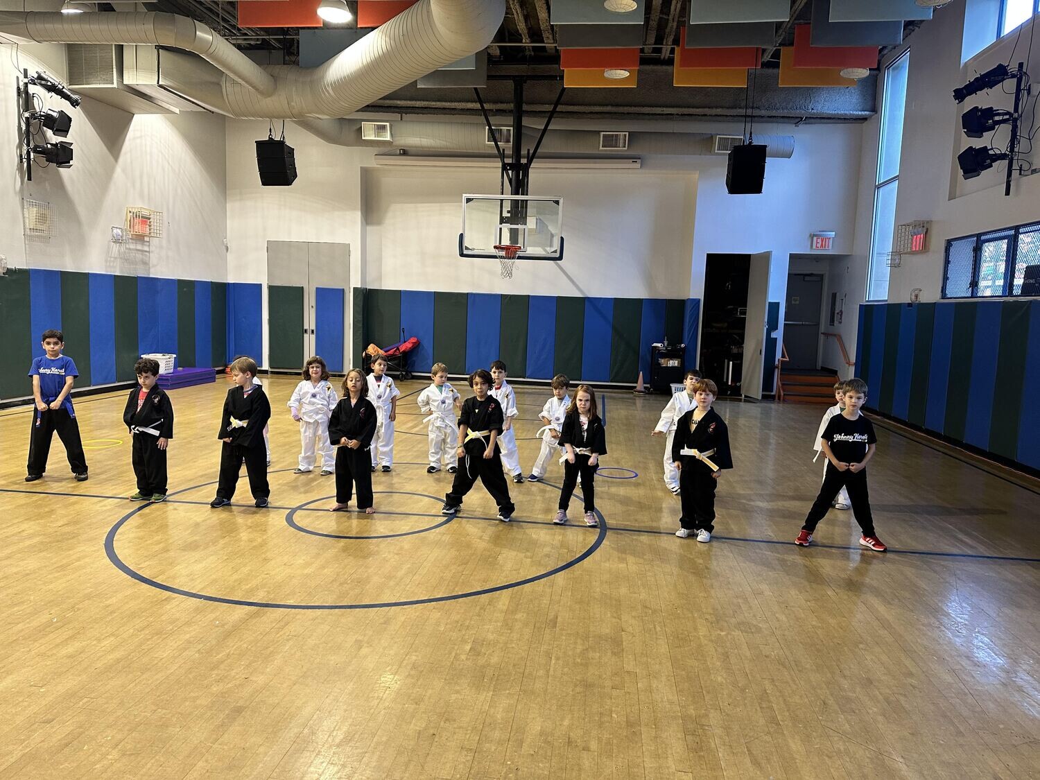 Tuesdays: 1-4 Martial Arts with Johnny Karate