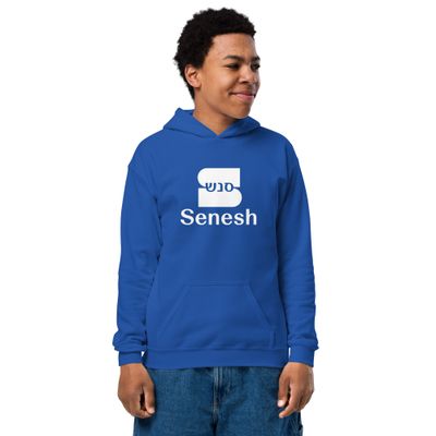 Senesh Youth heavy blend hoodie